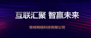 “互聯(lián)聚匯，智贏未來” 2019焦作青峰全網(wǎng)合作峰會圓滿成功！