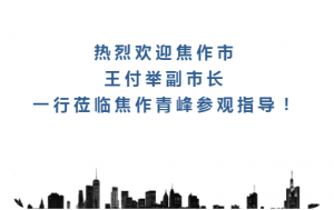 熱烈歡迎焦作市王付舉副市長一行蒞臨焦作青峰參觀指導！